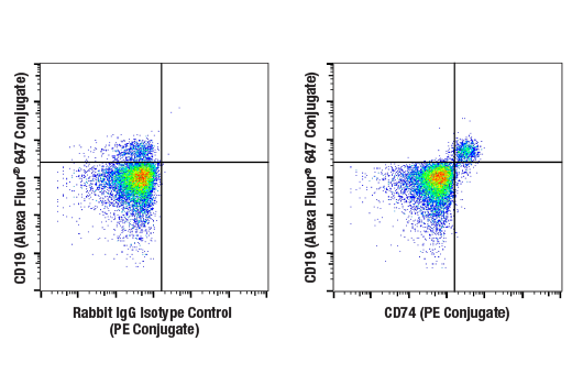 Flow Cytometry Image 1: CD74 (D5N3I) XP<sup>®</sup> Rabbit mAb (PE Conjugate)