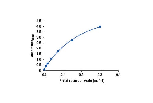 ELISA Image 2: PathScan<sup>®</sup> Total Androgen Receptor Sandwich ELISA Kit