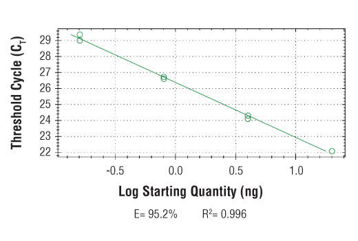 undefined Image 2: SimpleChIP<sup>®</sup> Human SF3B3 Exon 1 Primers