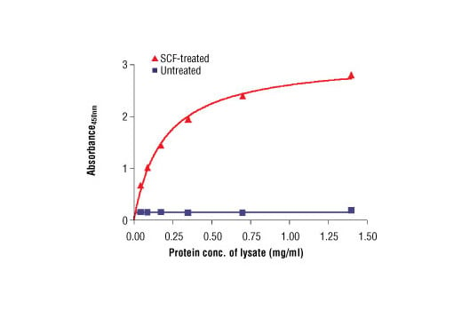 ELISA Image 1: PathScan<sup>®</sup> Phospho-c-Kit (Tyr719) Sandwich ELISA Antibody Pair