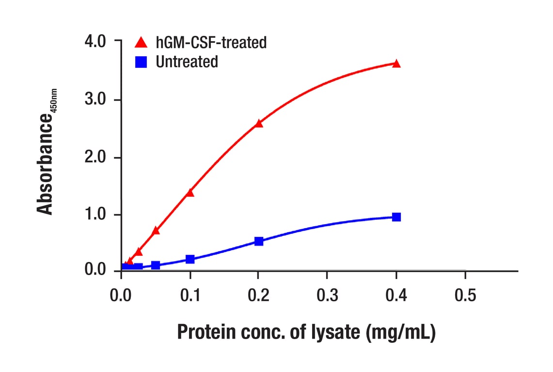 ELISA Image 1: Stat5a (4H1) Mouse mAb (BSA and Azide Free)