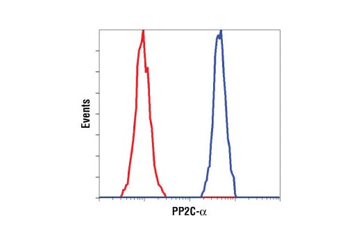 Flow Cytometry Image 1: PP2C-α (D18C10) XP<sup>®</sup> Rabbit mAb (BSA and Azide Free)