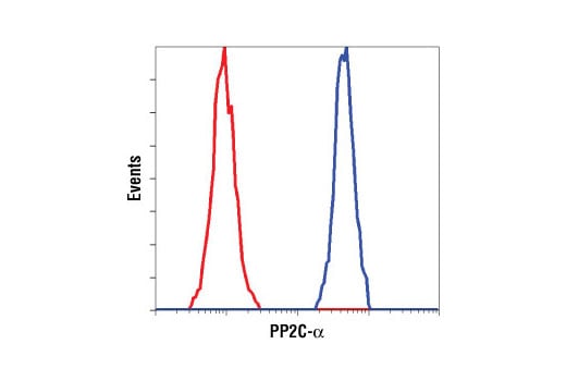 Flow Cytometry Image 1: PP2C-α (D18C10) XP<sup>®</sup> Rabbit mAb (BSA and Azide Free)