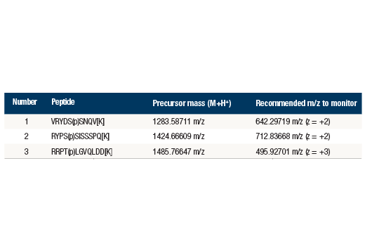 undefined Image 4: PTMScan<sup>®</sup> Control Peptides Phospho-Akt (RXXS*/T*)