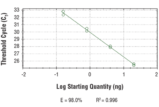 undefined Image 2: SimpleChIP<sup>®</sup> Human FOXN3 Intron 3 Primers