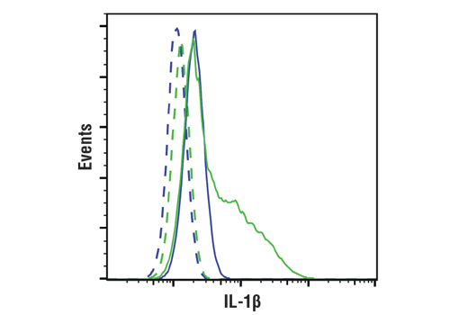 undefined Image 19: Mouse Reactive Inflammasome Antibody Sampler Kit