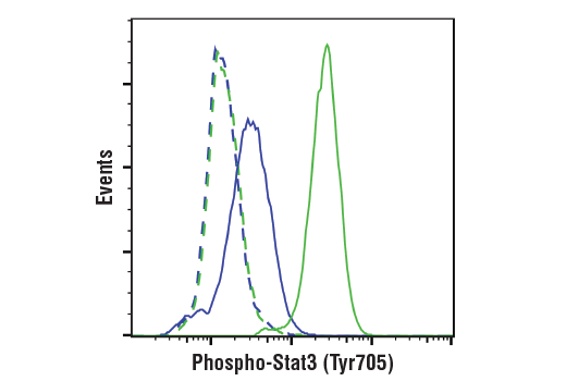 undefined Image 52: ALK Activation Antibody Sampler Kit