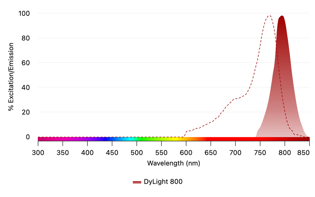 DyLight 800 Excitation Spectrum