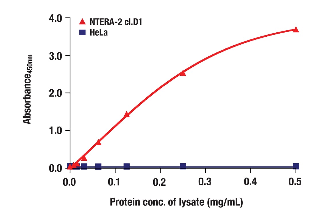 ELISA Image 1: Sox2 (D6D9) XP<sup>®</sup> Rabbit mAb (BSA and Azide Free)