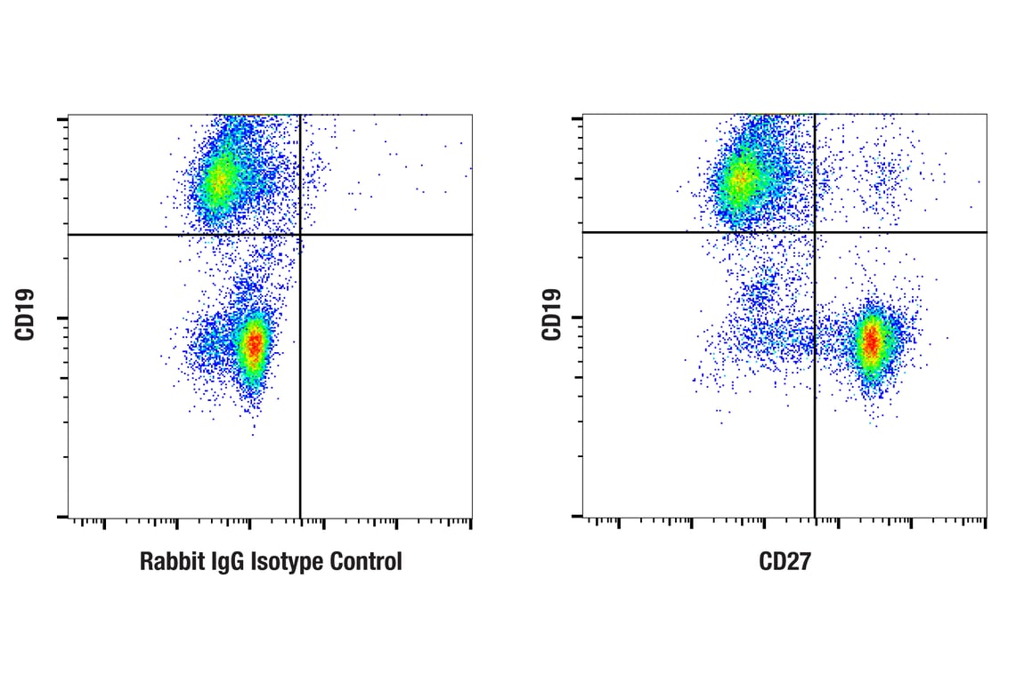 Flow Cytometry Image 2: CD27 (F3R2V) Rabbit mAb