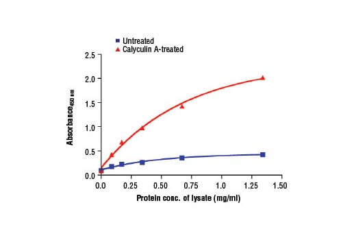 ELISA Image 2: PathScan<sup>®</sup> Phospho-mTOR (Ser2448) Sandwich ELISA Kit