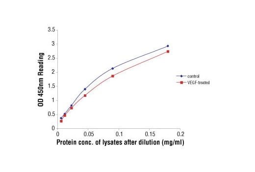 ELISA Image 2: PathScan<sup>®</sup> Total VEGFR-2 Sandwich ELISA Kit