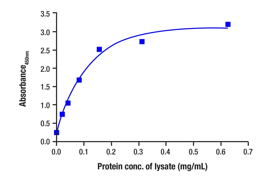 ELISA Image 1: Total Survivin Matched Antibody Pair