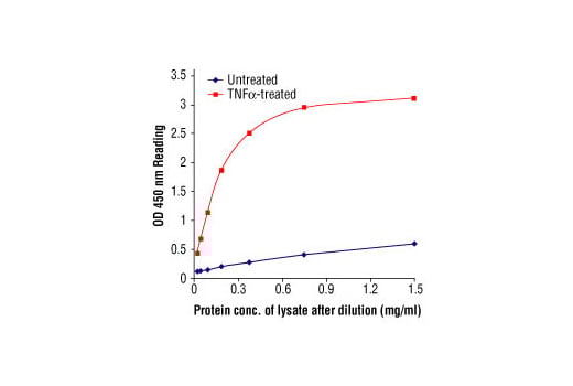 ELISA Image 2: PathScan<sup>®</sup> Phospho-IκBα (Ser32) Sandwich ELISA Kit