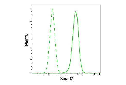 Flow Cytometry Image 1: Smad2 (D43B4) XP<sup>®</sup> Rabbit mAb (BSA and Azide Free)