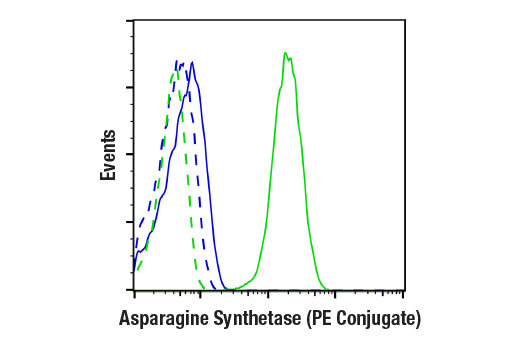 Flow Cytometry Image 1: Asparagine Synthetase (E6C2C) XP<sup>®</sup> Rabbit mAb (PE Conjugate)