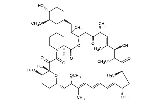 undefined Image 2: Rapamycin