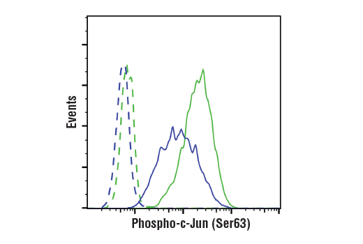 Flow Cytometry Image 1: Phospho-c-Jun (Ser63) (E6I7P) XP<sup>®</sup> Rabbit mAb