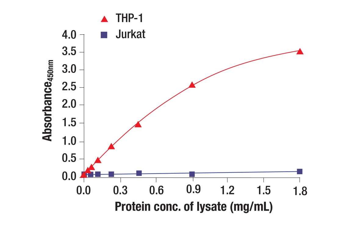 ELISA Image 1: TREM2 (D8I4C) Rabbit mAb (BSA and Azide Free)