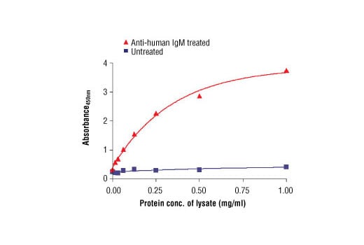 ELISA Image 1: PathScan<sup>®</sup> Phospho-Syk (panTyr) Sandwich ELISA Antibody Pair