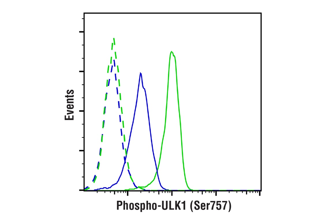 undefined Image 7: PhosphoPlus<sup>®</sup> ULK1 (Ser757) Antibody Duet