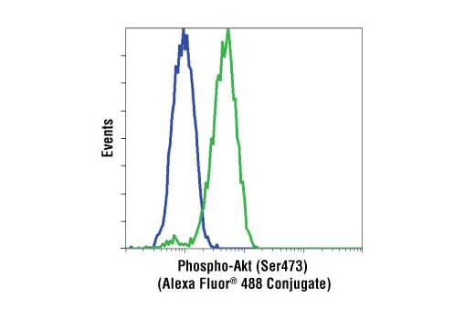 Flow Cytometry Image 1: Phospho-Akt (Ser473) (193H12) Rabbit mAb (Alexa Fluor<sup>®</sup> 488 Conjugate)
