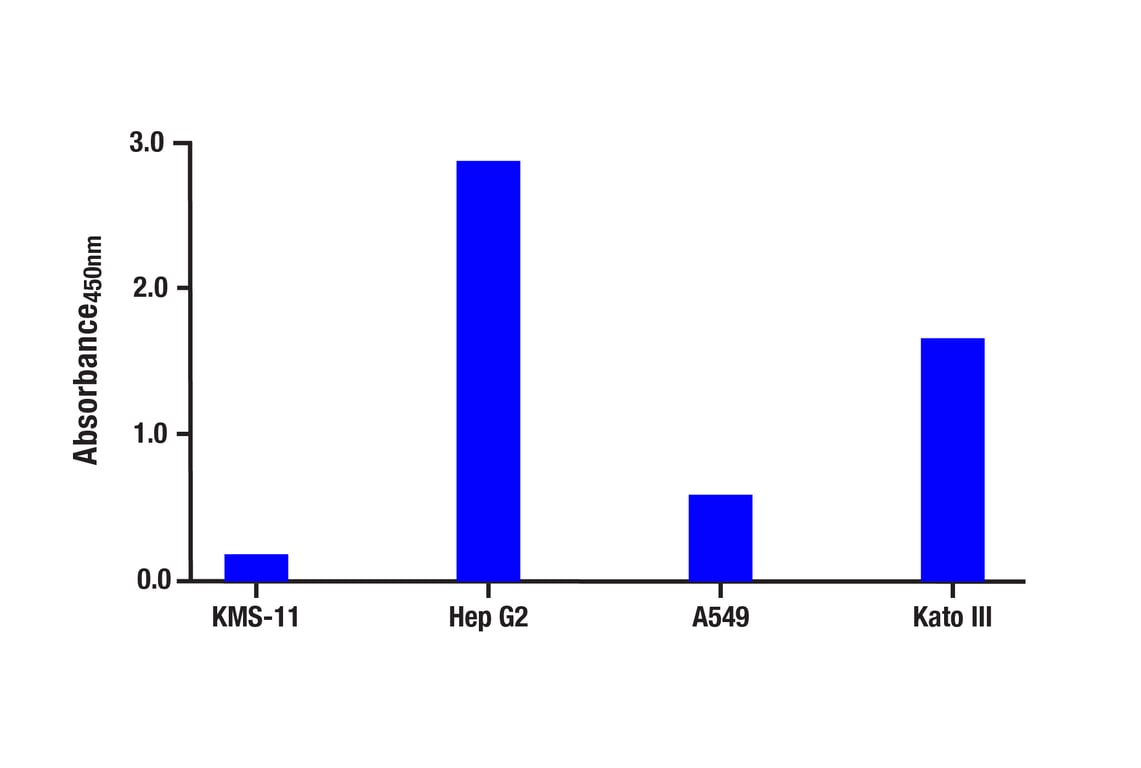 ELISA Image 1: FGF Receptor 4 (D3B12) XP<sup>®</sup> Rabbit mAb (BSA and Azide Free)