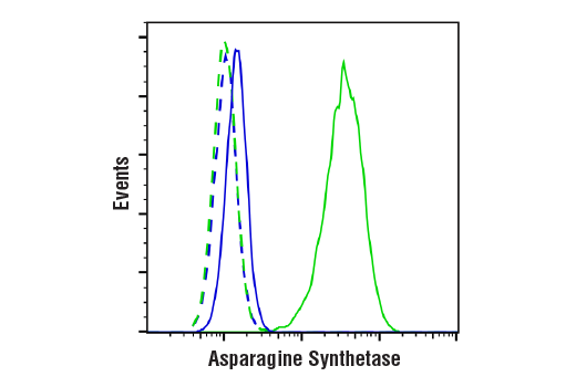 Flow Cytometry Image 1: Asparagine Synthetase (E6C2C) XP<sup>®</sup> Rabbit mAb (BSA and Azide Free)