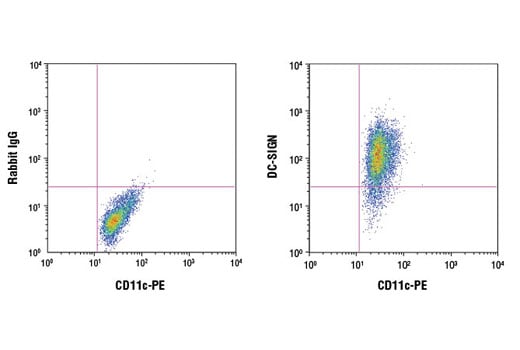 Flow Cytometry Image 1: DC-SIGN (D7F5C) XP<sup>®</sup> Rabbit mAb