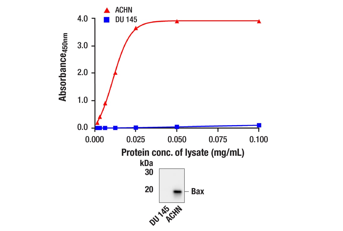 ELISA Image 1: FastScan<sup>™</sup> Bax ELISA Kit