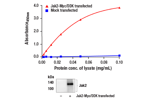 ELISA Image 1: FastScan<sup>™</sup> Total Jak2 ELISA Kit