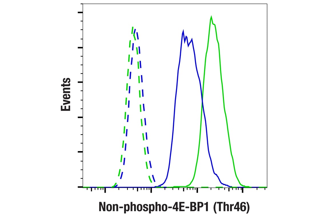 undefined Image 17: 4E-BP Antibody Sampler Kit