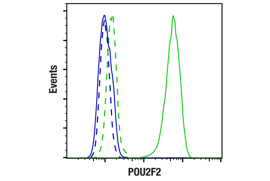 Flow Cytometry Image 1: POU2F2 (F3B7M) Rabbit mAb