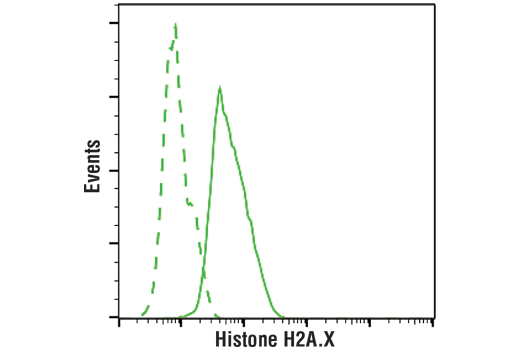 Flow Cytometry Image 1: Histone H2A.X (D17A3) XP<sup>®</sup> Rabbit mAb (PE Conjugate)