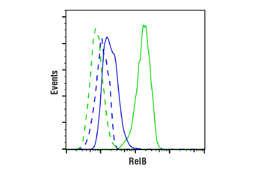Flow Cytometry Image 1: RelB (D7D7W) Rabbit mAb (BSA and Azide Free)