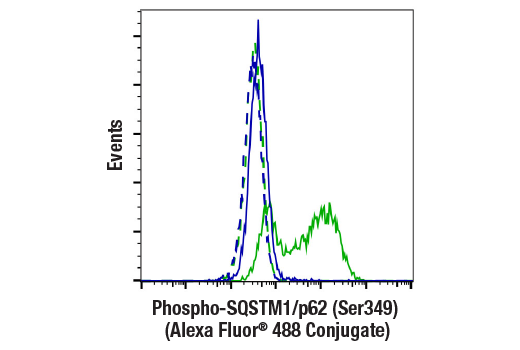 Flow Cytometry Image 1: Phospho-SQSTM1/p62 (Ser349) (E7M1A) Rabbit mAb (Alexa Fluor® 488 Conjugate)