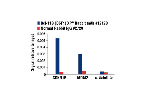 Chromatin Immunoprecipitation Image 3: Bcl-11B (D6F1) XP® Rabbit mAb