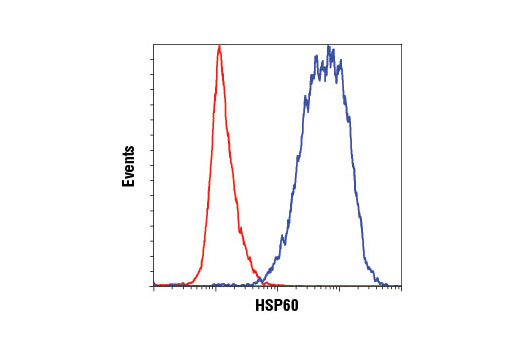  Image 37: HSP/Chaperone Antibody Sampler Kit