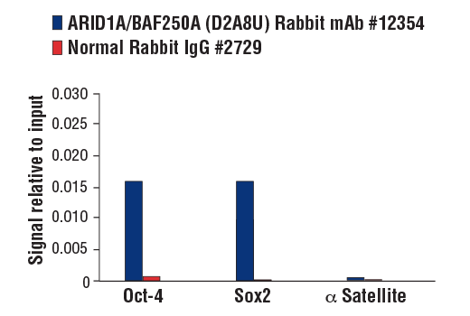 Chromatin Immunoprecipitation Image 1: ARID1A/BAF250A (D2A8U) Rabbit mAb