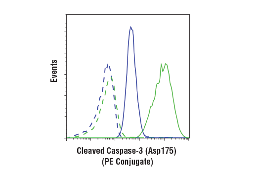 Flow Cytometry Image 1: Cleaved Caspase-3 (Asp175) (D3E9) Rabbit mAb (PE Conjugate)