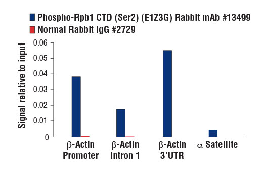  Image 37: Rpb1 CTD Antibody Sampler Kit