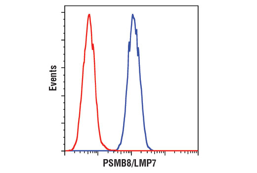 Flow Cytometry Image 1: PSMB8/LMP7 (1A5) Mouse mAb