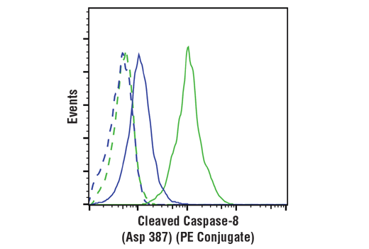 Flow Cytometry Image 1: Cleaved Caspase-8 (Asp387) (D5B2) XP® Rabbit mAb (PE Conjugate)