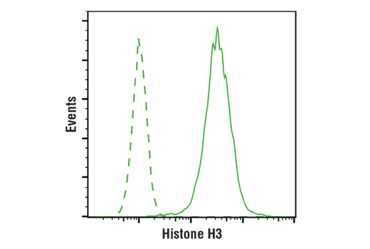 Flow Cytometry Image 1: Histone H3 (1B1B2) Mouse mAb