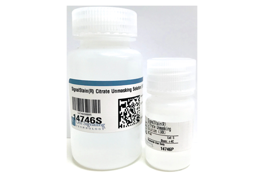 Immunohistochemistry Image 1: SignalStain® Citrate Unmasking Solution (10X)
