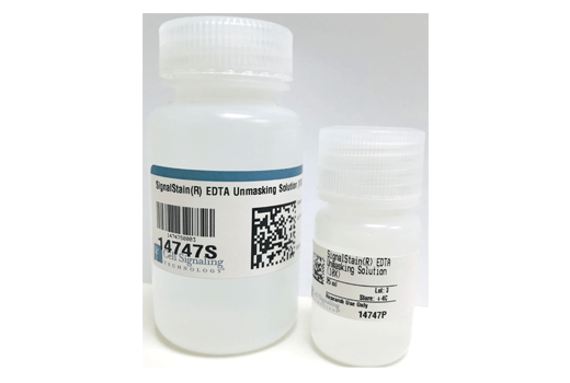 Immunohistochemistry Image 1: SignalStain® EDTA Unmasking Solution (10X)