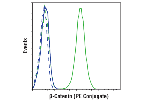 Flow Cytometry Image 1: β-Catenin (D10A8) XP® Rabbit mAb (PE Conjugate)