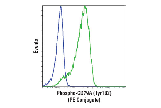 Flow Cytometry Image 1: Phospho-CD79A (Tyr182) (D1B9) Rabbit mAb (PE Conjugate)