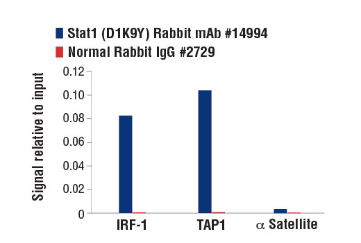  Image 46: IFN (Type I/III) Signaling Pathway Antibody Sampler Kit