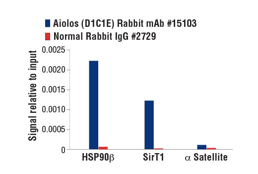 Chromatin Immunoprecipitation Image 3: Aiolos (D1C1E) Rabbit mAb